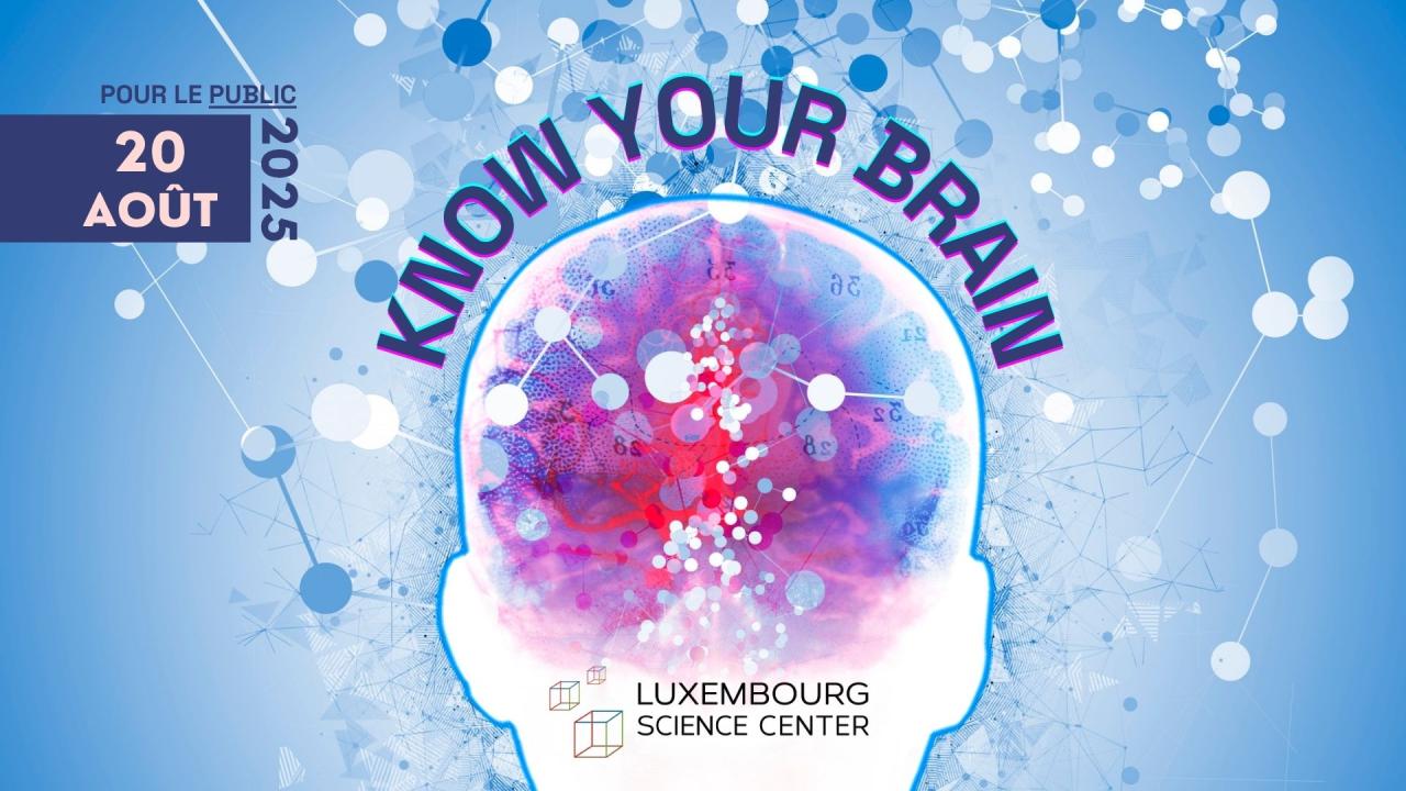 Banner Train your brain