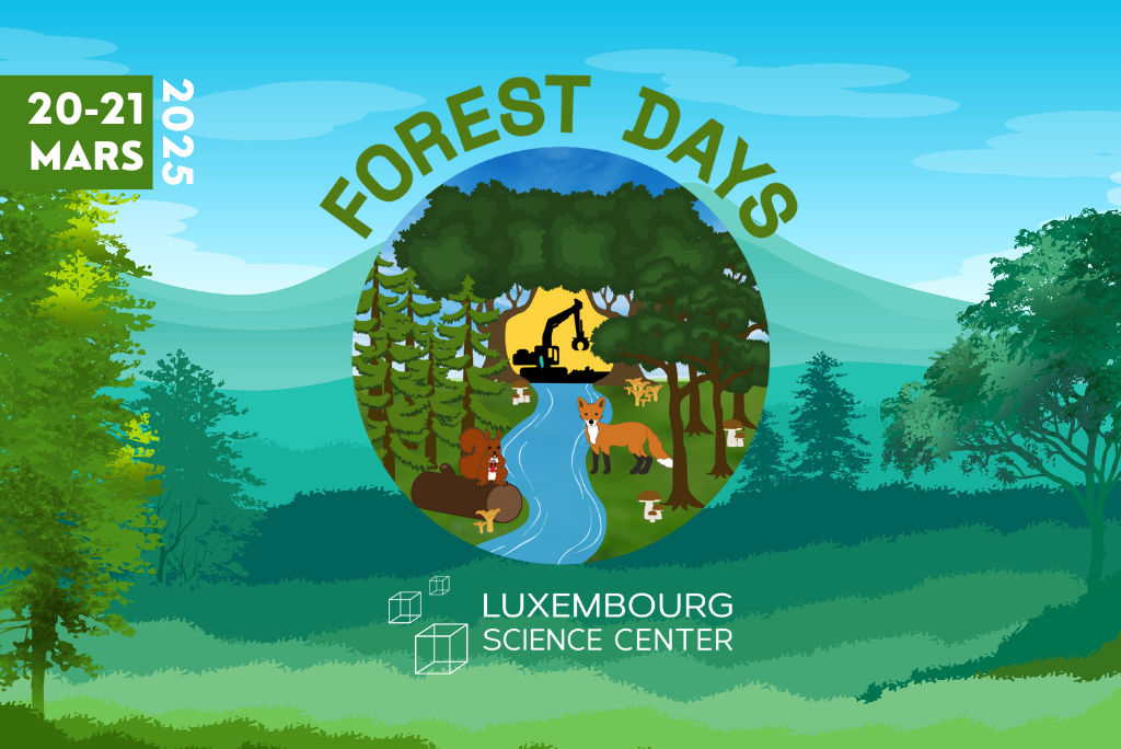 Forest Days Banner